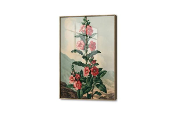 لوحة مودرن زهور كالميا الساحرة SA45199 كل التابلوهات المودرن, اوراق شجر - نباتات, ورود - زهور - نباتات اخضر - زيتى, احمر - نبيتى الوان زيتية - اكريليك, مودرن غرفة الاستقبال, غرفة المعيشة, مدخل المنزل فصل الربيع اكريليك, بالطول, ببرواز, برواز خشبى, مستطيل