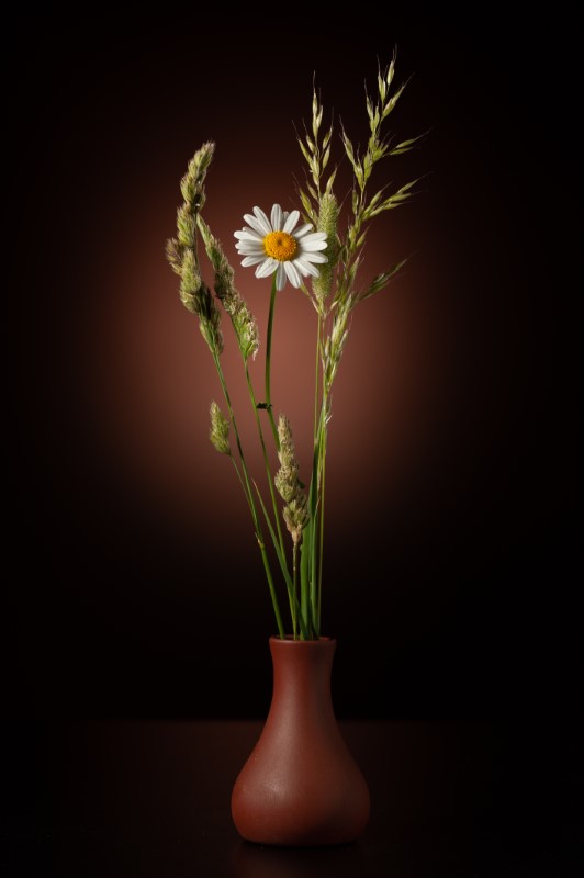 Single Product 3D preview SA